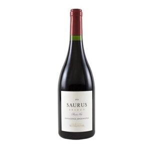 Familia Schroeder 'Saurus' Pinot Noir, Patagonia, Argentina 2024