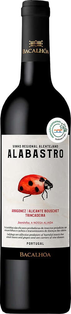 Alabastro Alentejano 2023