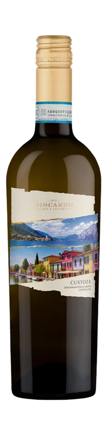Mabis Biscardo, Bianco di Custoza 2024