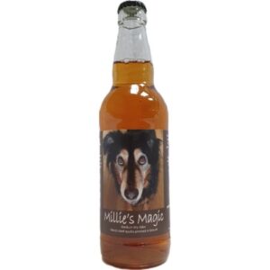 Temple Cider - Millie's Magic Medium Dry Cider (50cl)